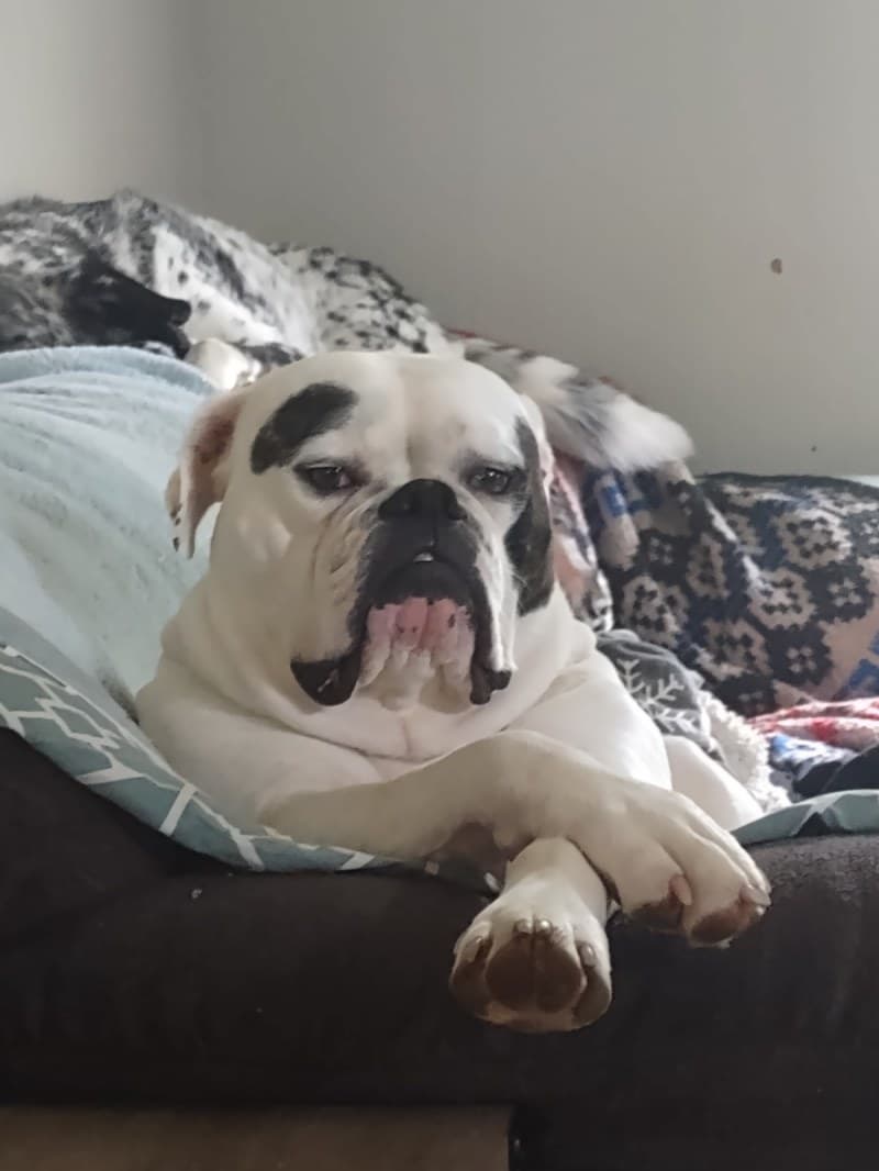 Penny today